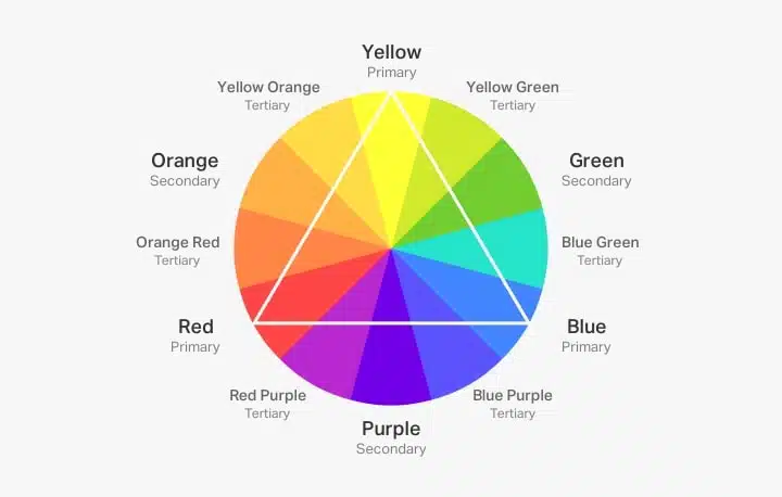 Color Theory in Web Design: Unraveling the Art and Science