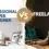 The Pros and Cons of Hiring a Freelance vs. Agency Professional Web Designer