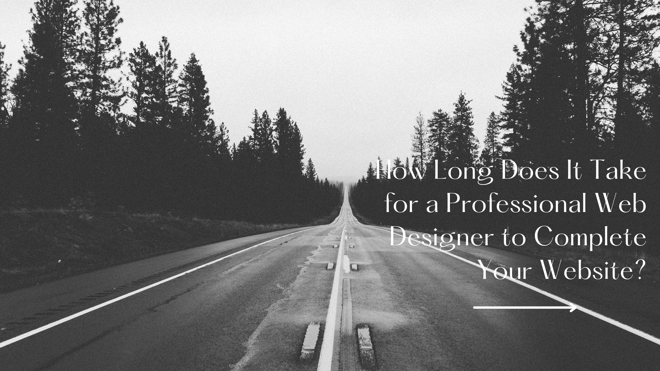 How Long Does It Take for a Professional Web Designer to Complete Your Website?