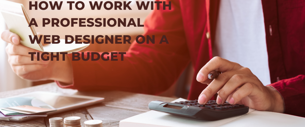 How to Work with a Professional Web Designer on a Tight Budget